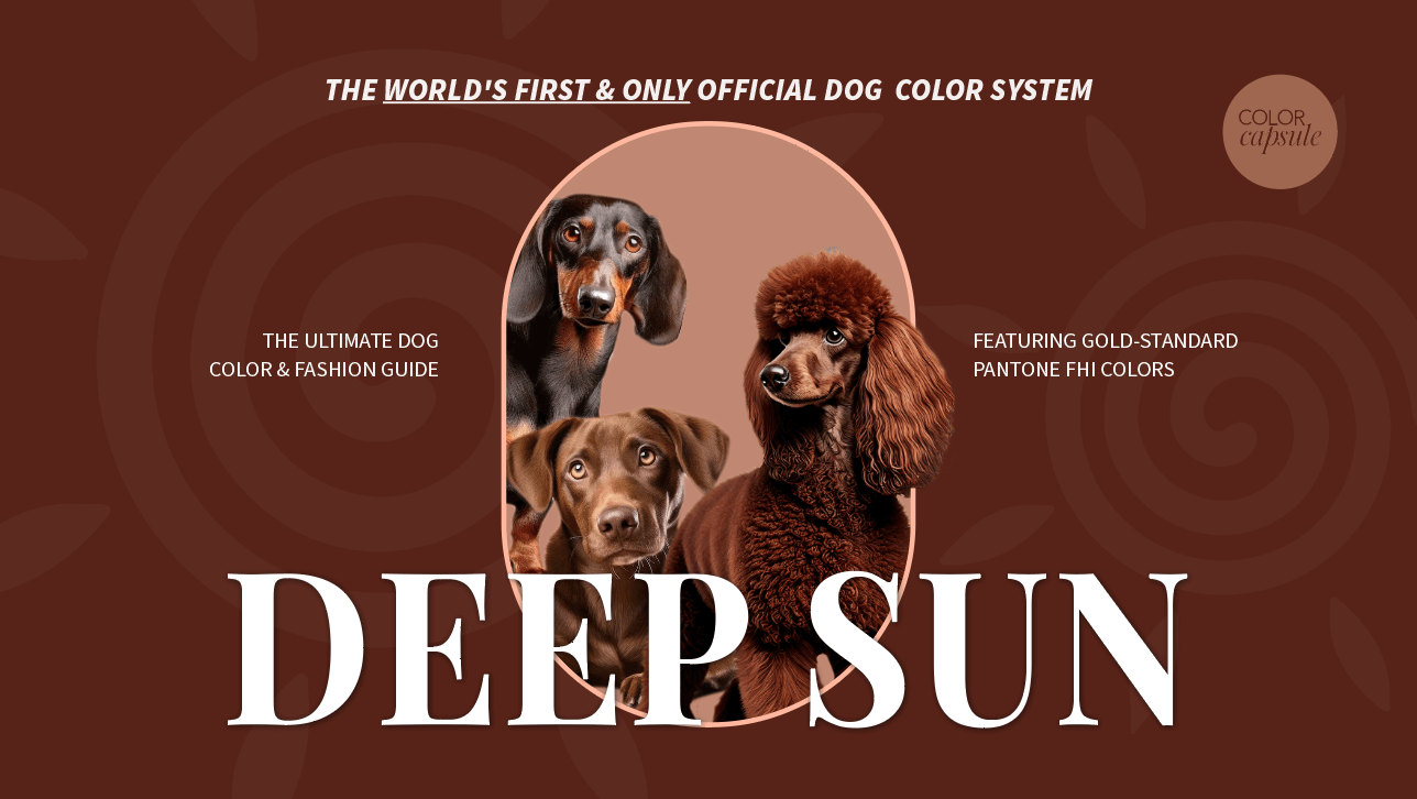 Deep Sun Color Guide