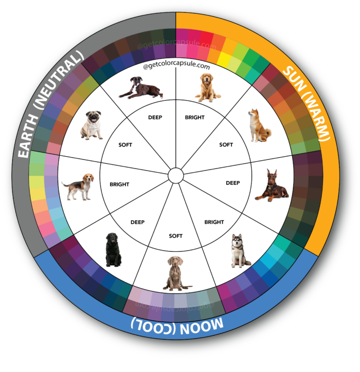Dog color analysis