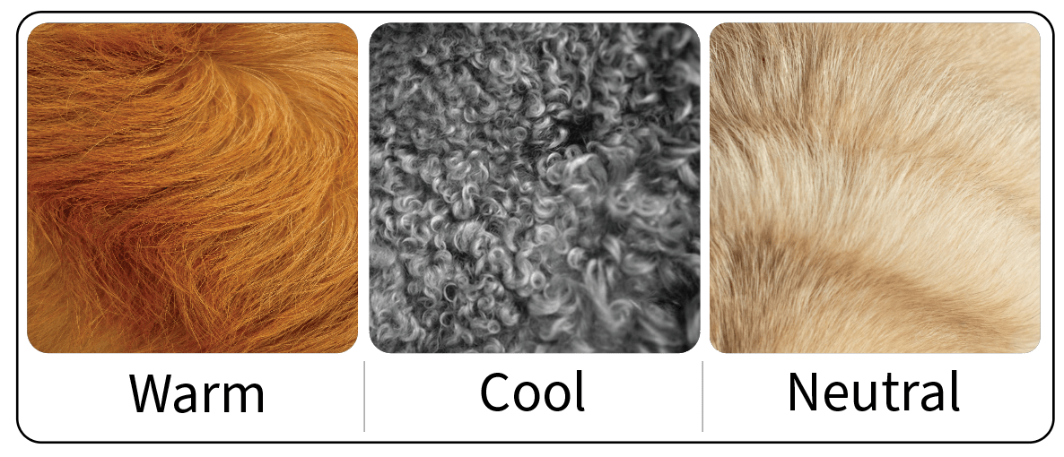 Dog Fur Color Warm Cool Neutral