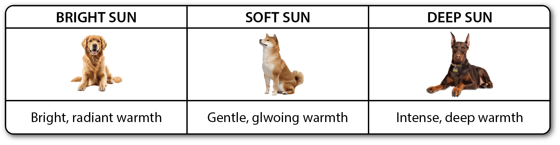 Dog fur color bright soft deep soft sun bright sun deep sun