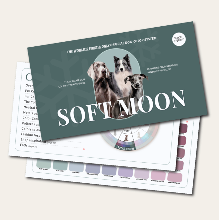 Soft Moon Woo Picture Color Guide