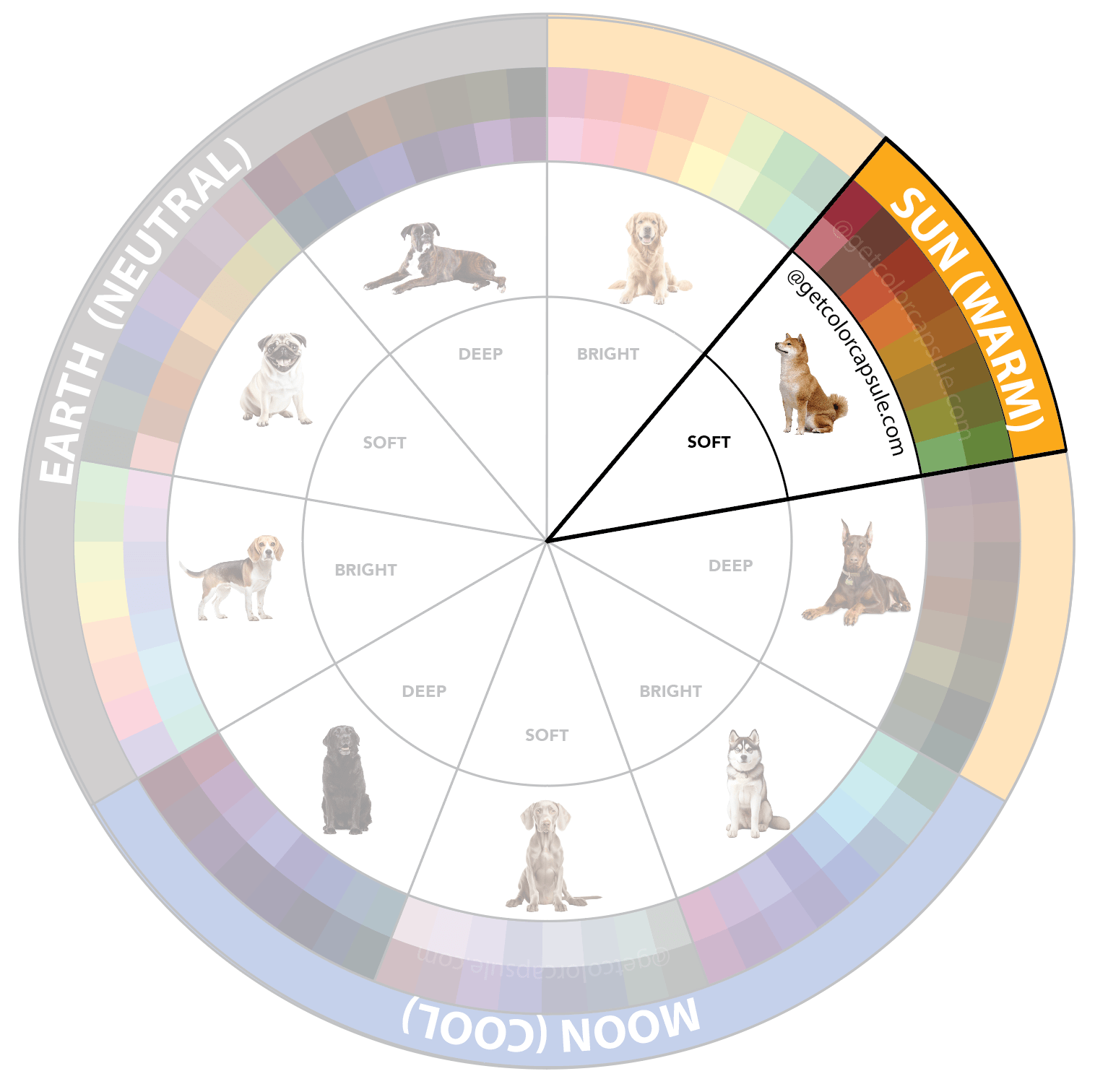 Soft Sun Dog Color Circle