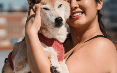 Understanding the Soft Sun Dog Color Type: A Comprehensive Guide